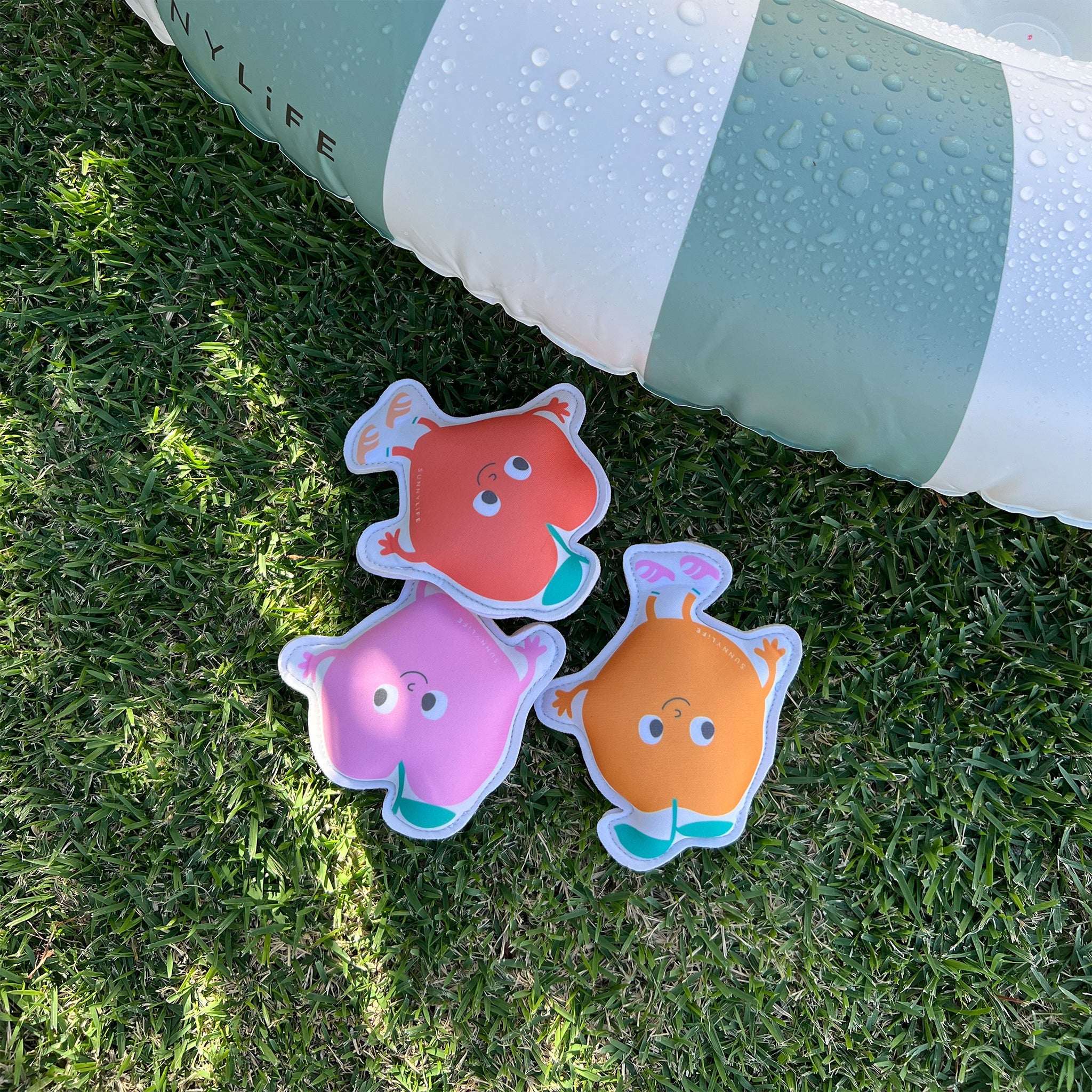 Dive Buddies - Poppy the Peach Multi