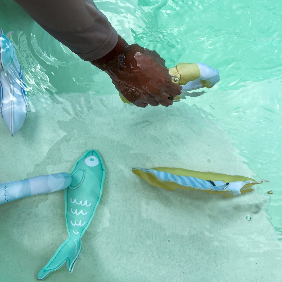 Dive Buddies 6 - Sammy the Seagull