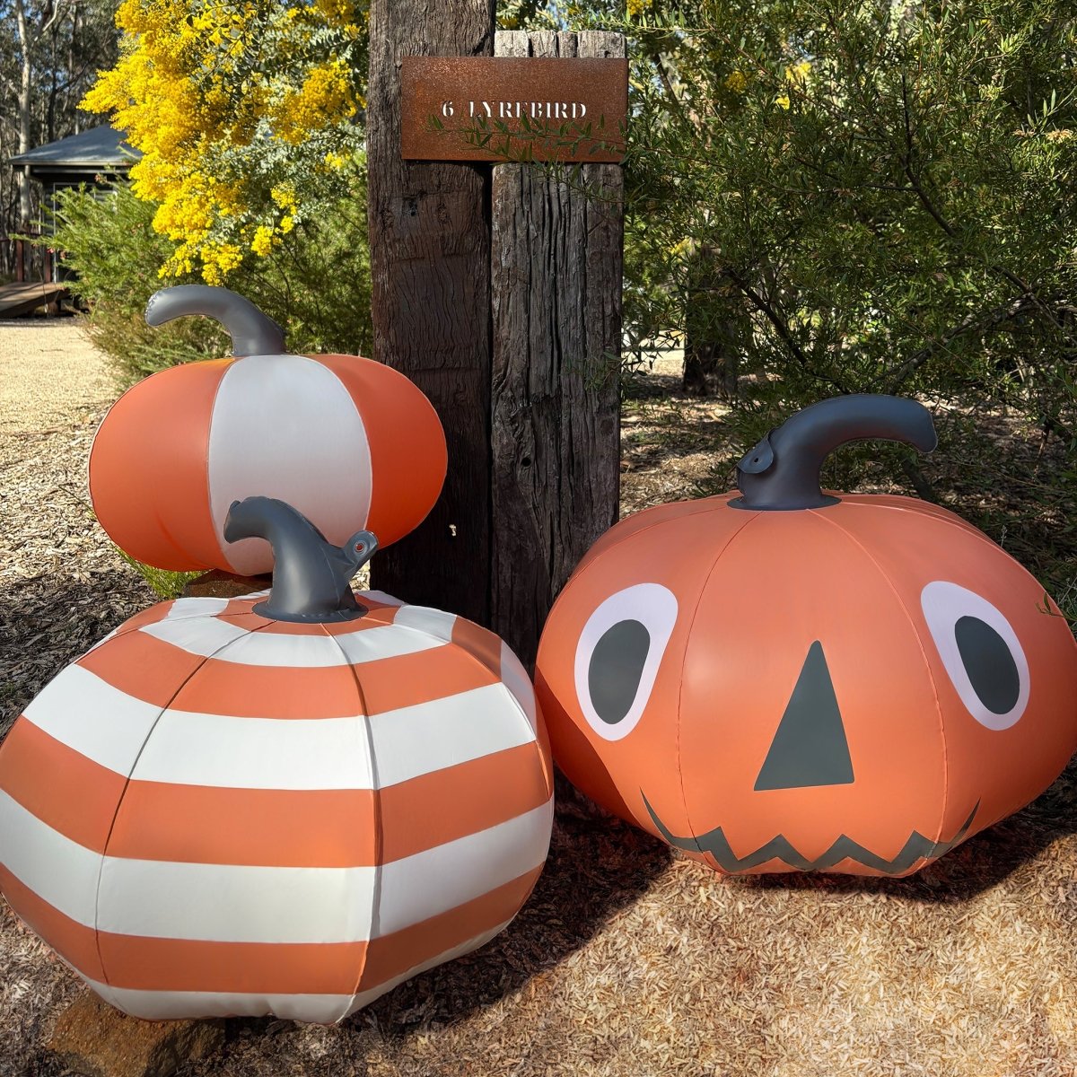 Light Up Orange Inflatable Halloween Pumpkins Set of 3